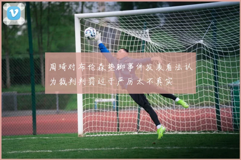 周琦对布伦森垫脚事件发表看法认为裁判判罚过于严厉太不真实