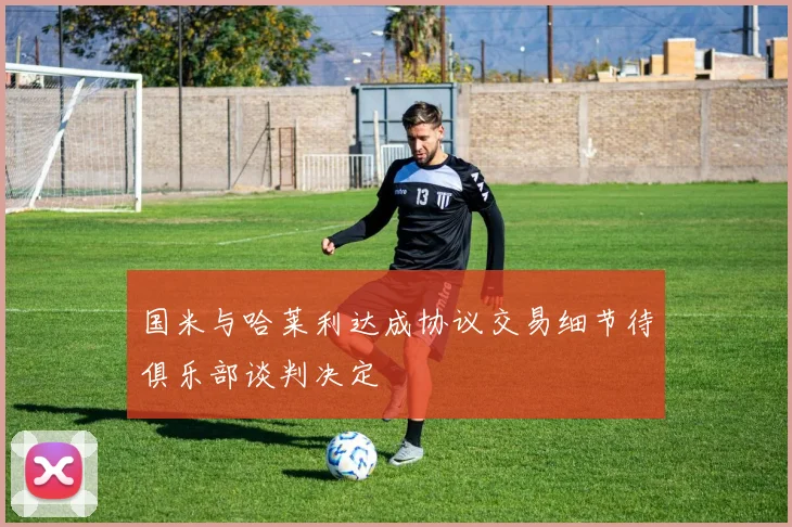国米与哈莱利达成协议交易细节待俱乐部谈判决定