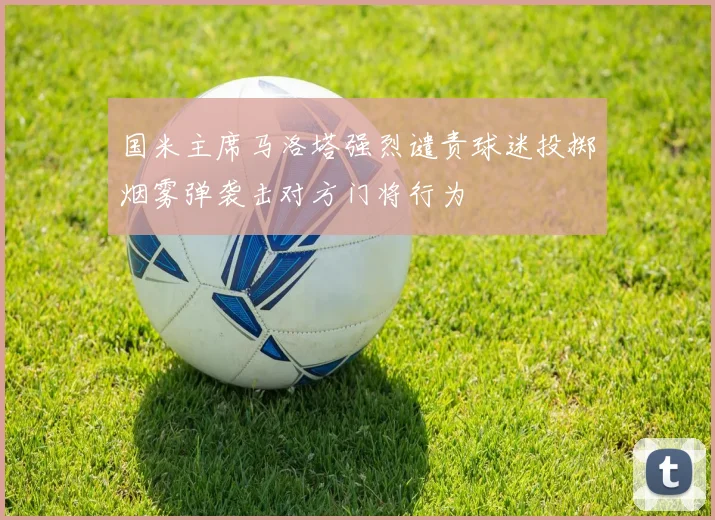 国米主席马洛塔强烈谴责球迷投掷烟雾弹袭击对方门将行为